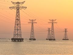 -宝安西湾红树林湿地公园