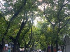 -北京国子监胡同