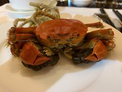 -美林湖温泉别墅度假村