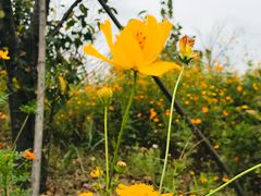 -长广溪湿地公园