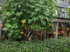 -洈水谣 · 地道荆州松滋菜(菱角湖公园店)