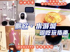 -鹏欣水游城