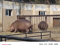 -合肥野生动物园