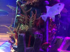 -沈阳海洋探索中心