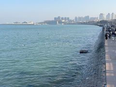 -幸福门