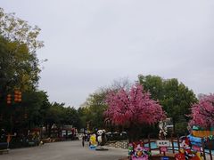 -南湖梦幻岛