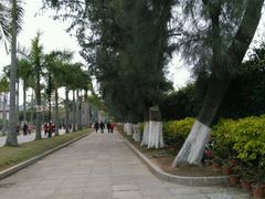 -厦门大学(思明校区)
