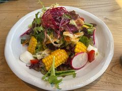 蔬菜沙拉-Hatsune隐泉日式料理(三里屯太古里店)