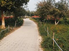 -绿堤公园