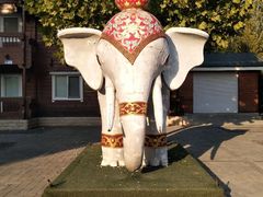 -永定河休闲森林公园