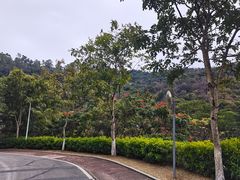 -火炉山森林公园