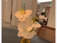 -来龙里 精致 东南亚餐室(万象城店)