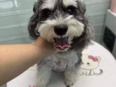-FAELING PETS美天灵宠物(合生汇店)