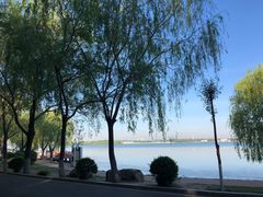 -丁香湖公园