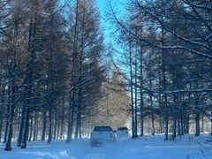 -乌兰布统草原