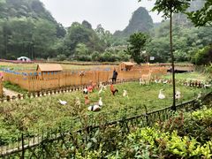 -高荡千年布依古寨旅游景区