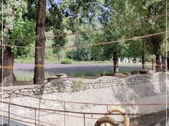 -紫海香堤香草艺术庄园