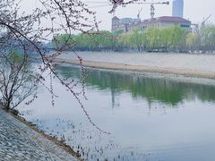 -桃花堤公园