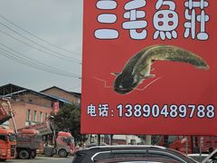 -三毛鱼庄(威连路店)