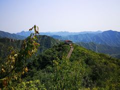 -大岭沟猕猴桃谷风景区