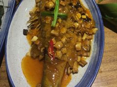 -雀舞云南菜(乐客城店)