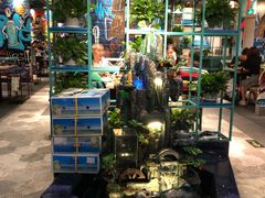 -浩源美食·椰子鸡