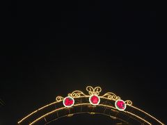 -武汉知音号