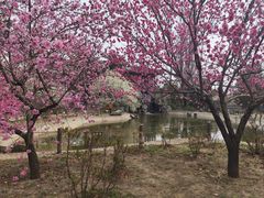 -国家植物园南园