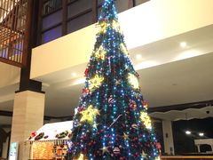 -三亚国光豪生度假酒店-椰语堂(国光豪生店)