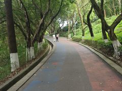 -翠屏公园