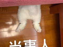 -上海市长宁区天山中医医院