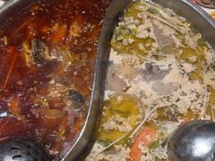 -肖肖酸萝卜鱼火锅(总店)