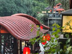 -侨美·唐荔园·40年地道粤菜