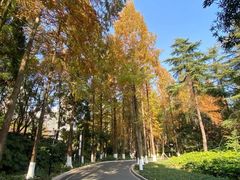 -苏州河梦清园环保主题公园