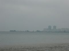 -万绿园