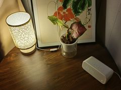 -青曼SPA·按摩·采耳·足道(龙之梦店)