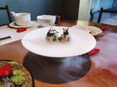 -觀芷隐轩