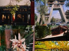 -都江堰普照寺