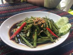 通心菜(蚝油)-Tikky Cafe