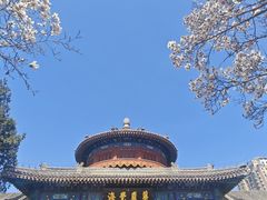 -大钟寺古钟博物馆