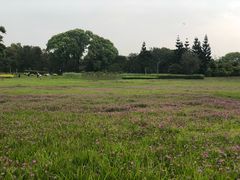 -福建鲤鱼洲酒店