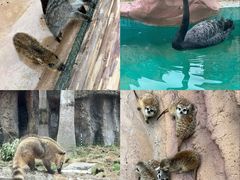 -福州罗源湾海洋世界旅游区