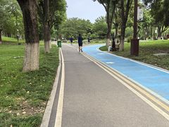 -堤角公园