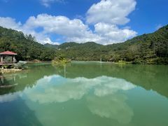 -广州白江湖森林公园