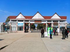 -上海都市菜园