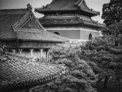 -北陵公园
