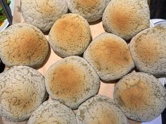 -凤凰山斑鱼馆(恭城店)