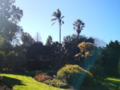 -墨尔本皇家植物园