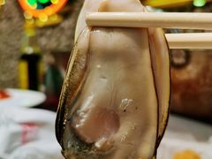 清蒸蚝-飞尝蚝·顺德菜·鱼生(顺德总店)