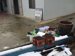 -胜丰草莓采摘园